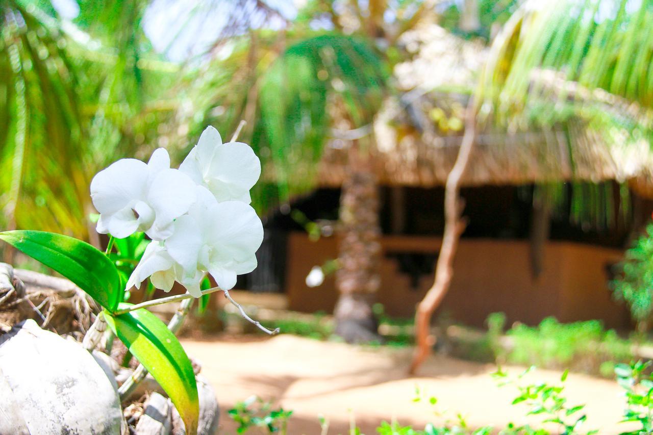 Yalaway Nature Villa Tissamaharama Eksteriør bilde